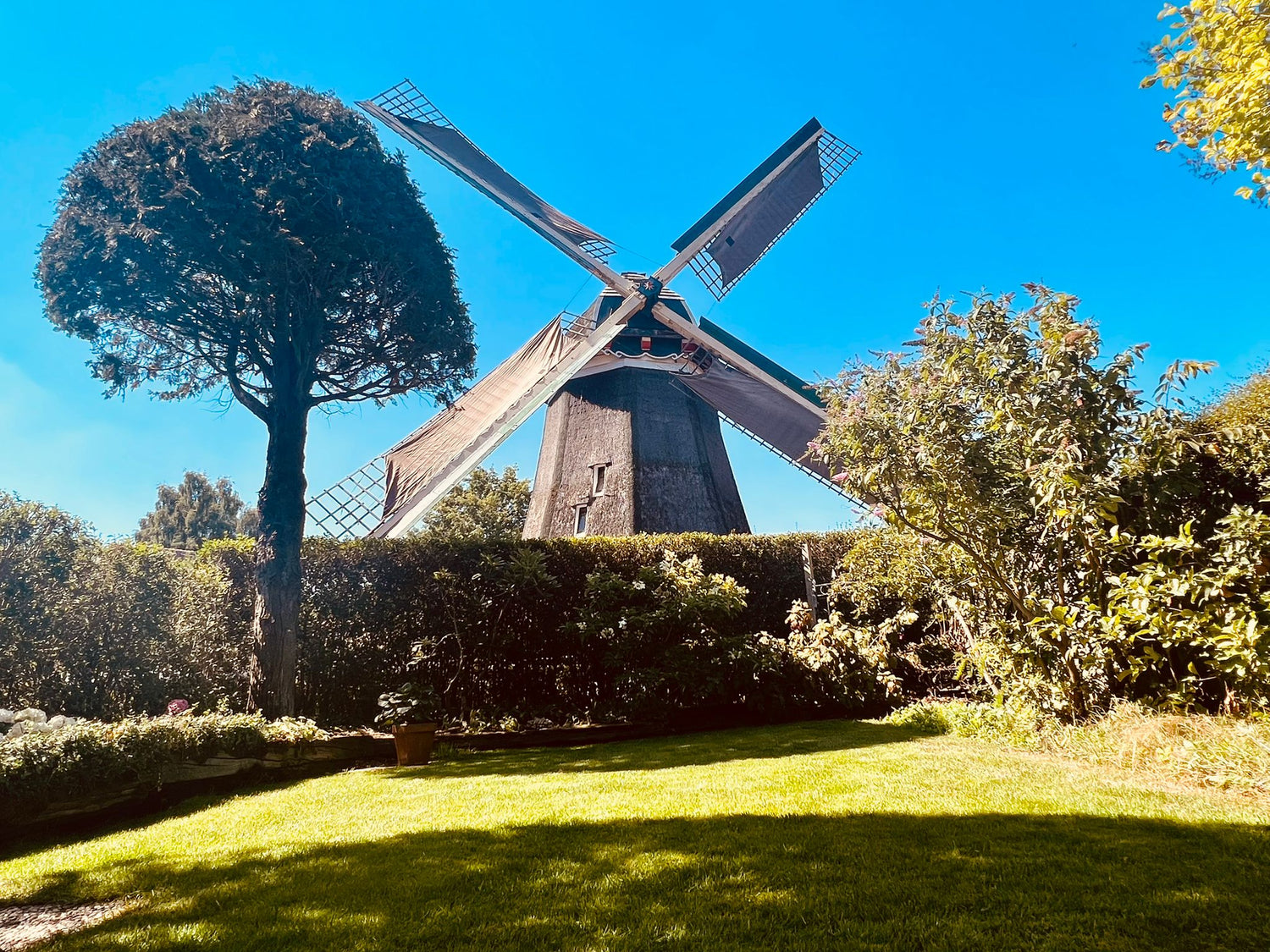 De Larense Molen volledig in de zon
